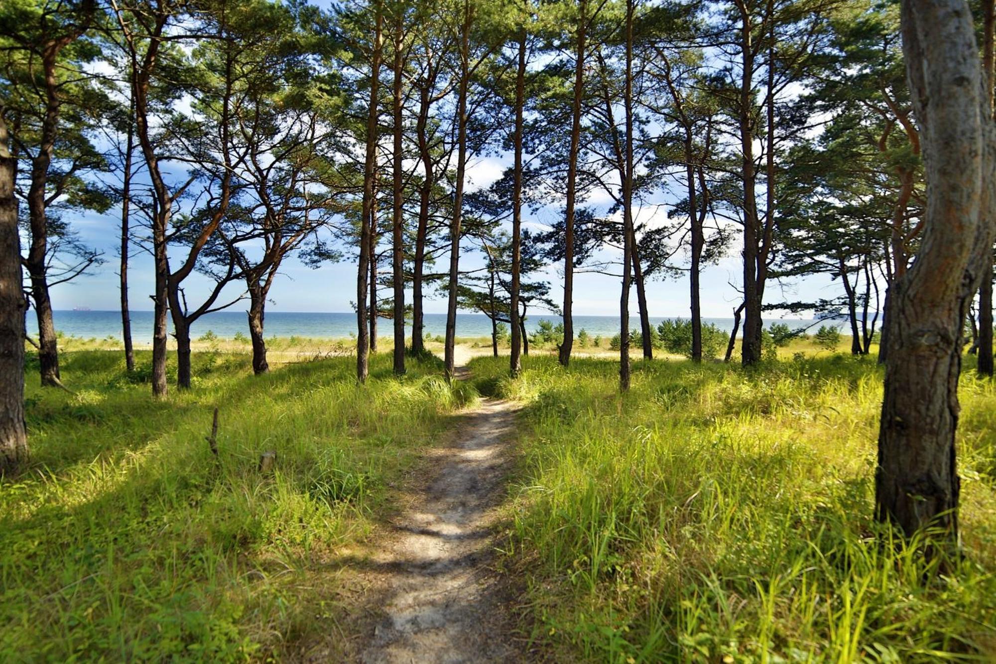 Ferienwohnung Sonnenschein Haus Hiddensee Prora Binz Exteriér fotografie